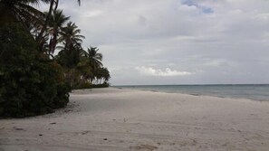 Enjoy a serene beach experience with access to the shore.