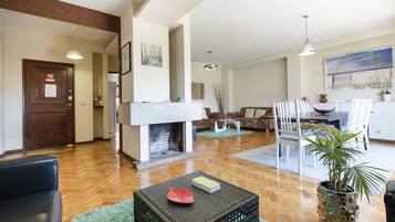 TV, fireplace, DVD player, books