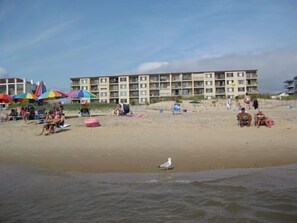 Une plage avec des parasols, des chaises de plage et un goéland. On aperçoit un bâtiment au loin.