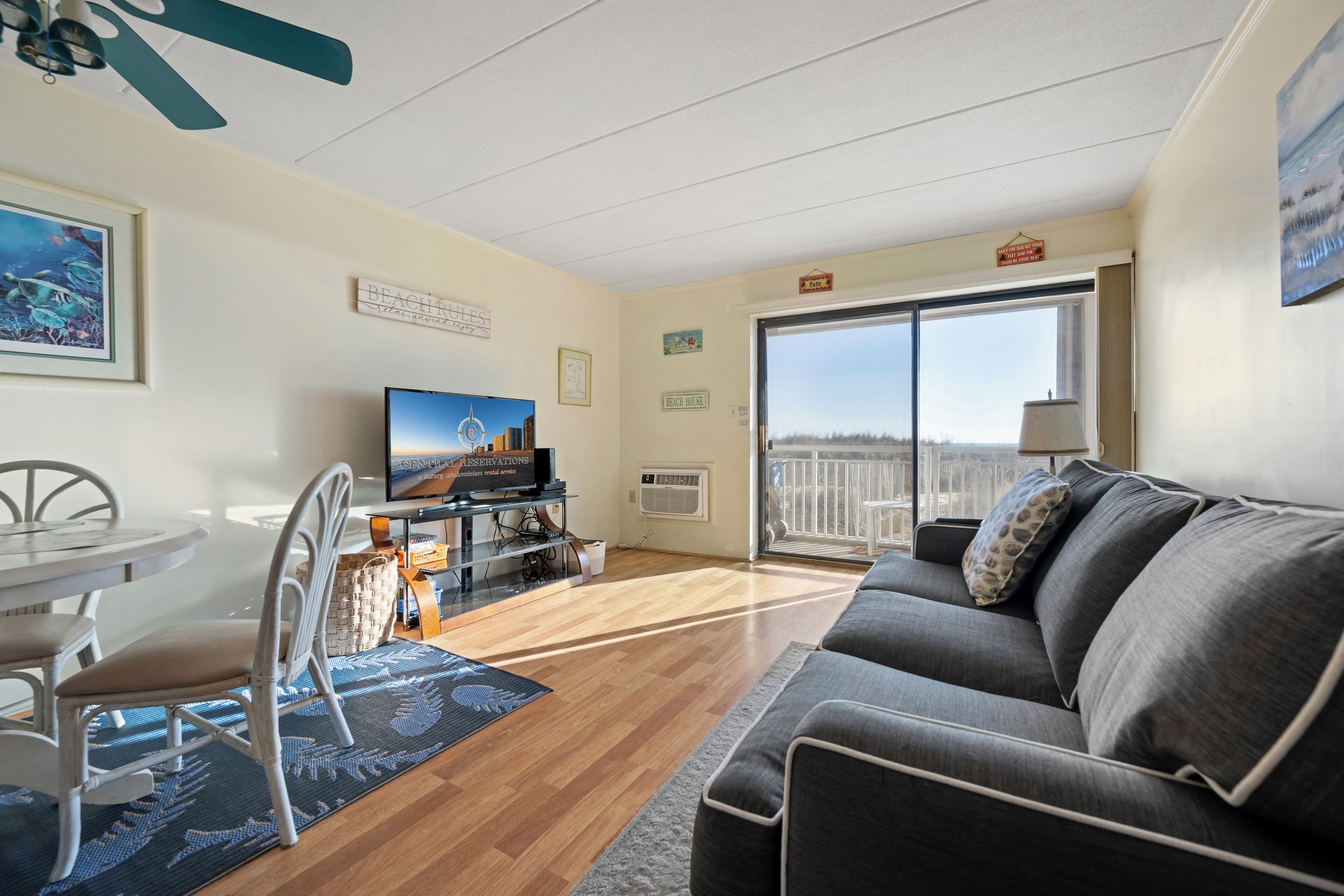 电视、DVD 播放器