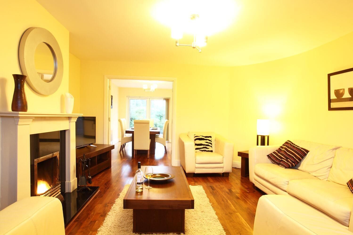 TV, fireplace, DVD player