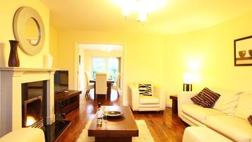 TV, fireplace, DVD player