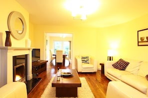 Fernseher, Kamin, DVD-Player