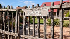 Une clôture en bois rustique sur laquelle est accrochée une pancarte portant l’inscription « Salut à tous ».