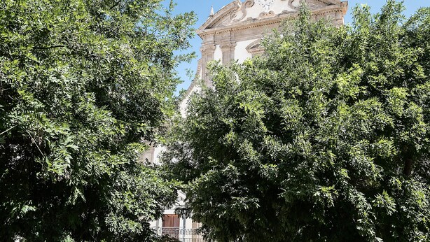 Un edificio storico con architettura elaborata, circondato da rigogliosi alberi verdi.