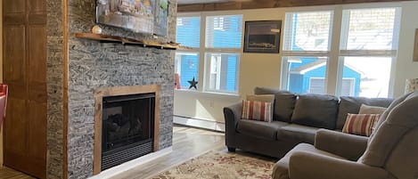 Una televisión, Netflix, un reproductor de DVD, libros