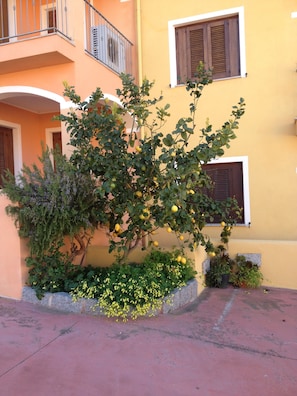 Exterior detail