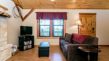 TV, fireplace, DVD player