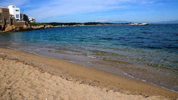 Beach - HOUSE LA FLOR (L'Escala)