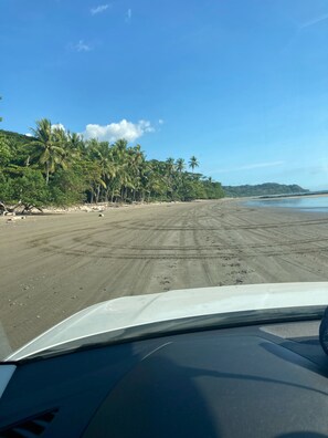 Playa en los alrededores y toallas de playa 