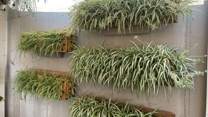 A wall with multiple wooden planters containing green plants. - GREAT LOCATION LUXURY 3 BDRM 3 BATH LAKEFRONT  HEATED INDOOR POOL STAY&PLAY GOLF (Branson)