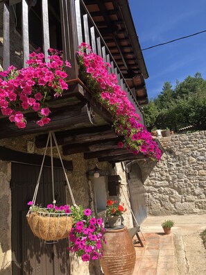 Detalle exterior