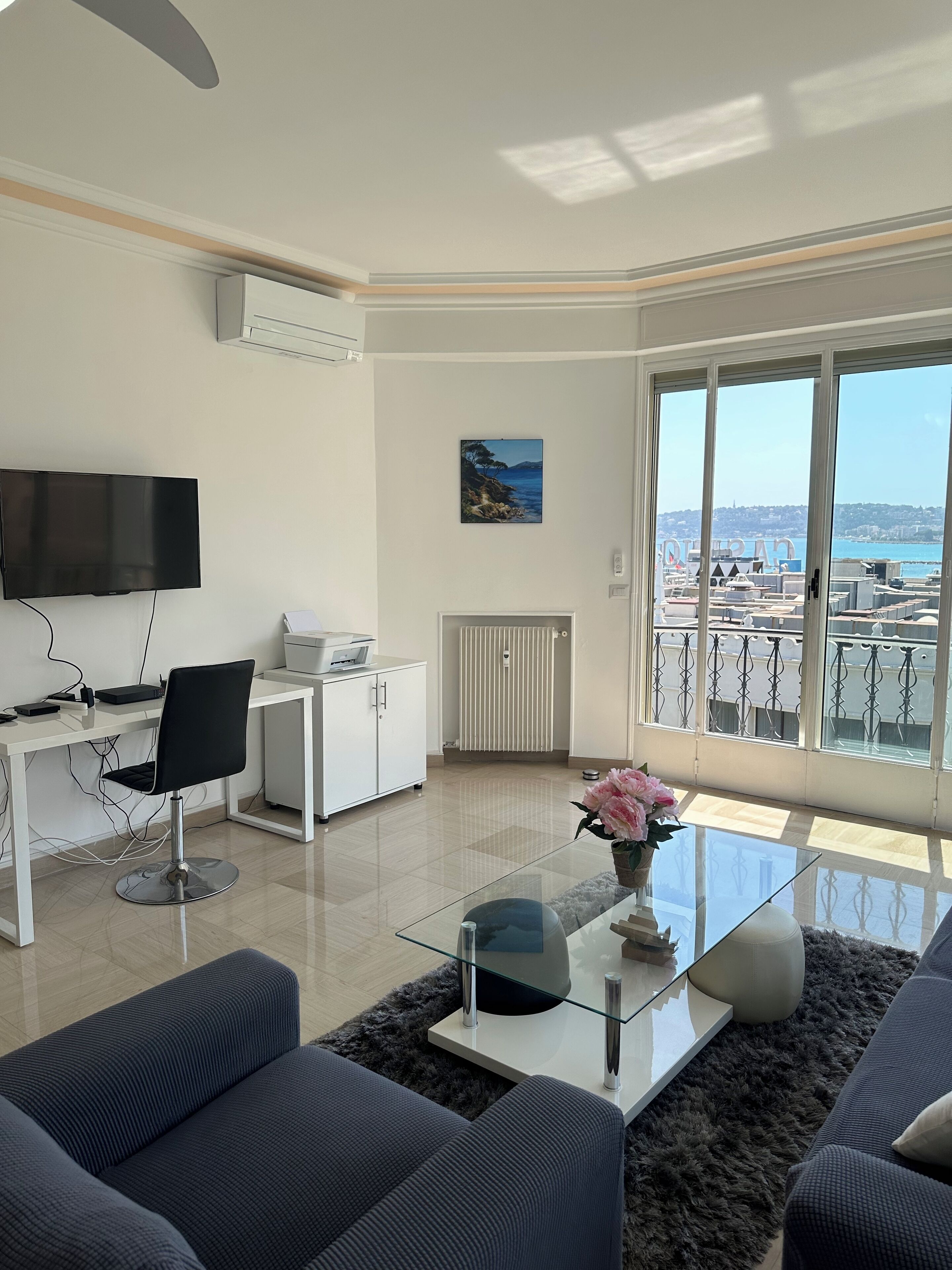 智能电视、书、影片库、打印机