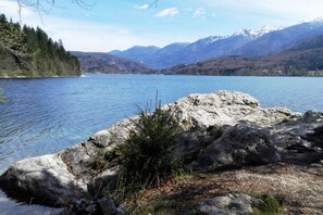 Un lago con montagne sullo sfondo, una riva rocciosa e un piccolo albero.