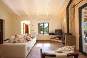TV, fireplace, DVD player