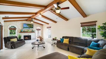 Smart TV, chimenea y reproductor de DVD