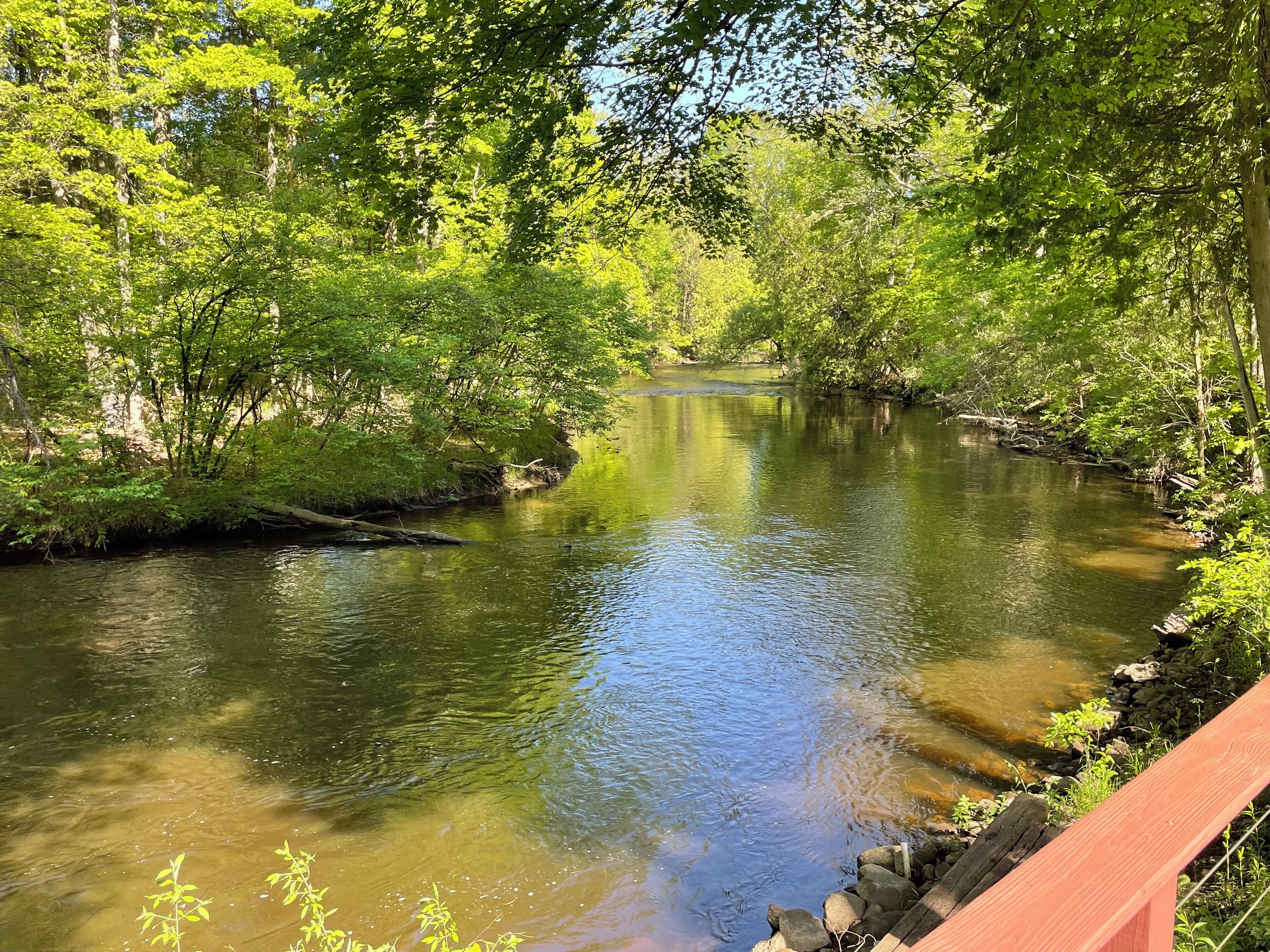 Un río rodeado de densa vegetación verde, con un puente de madera al frente.