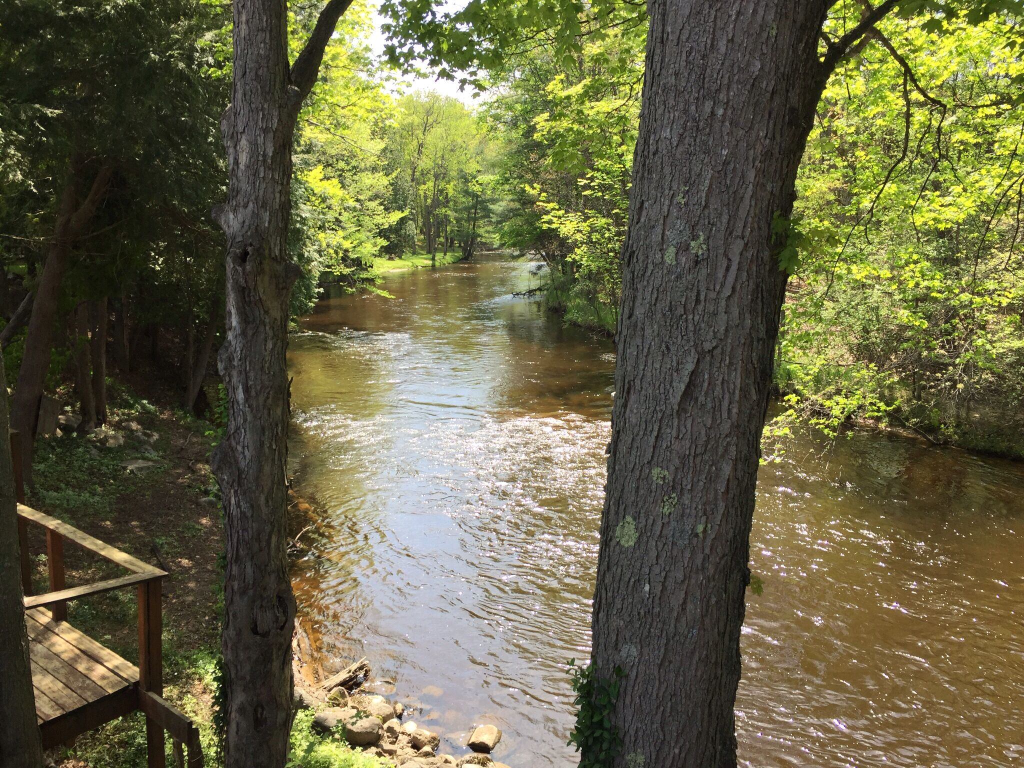 Ein Fluss fließt durch einen Wald mit Bäumen und einer Holzbrücke.