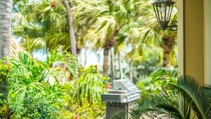 A lush garden with palm trees and a barbecue grill. - Aruba Villa Tropical (Noord)