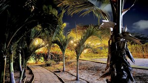 A paved pathway lined with palm trees and illuminated by small lights, leading to a statue. - Aruba Villa Tropical (Noord)