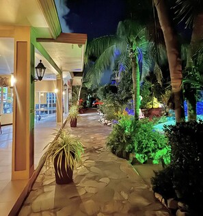 Un sendero conduce a una zona de piscina con palmeras y plantas en macetas.