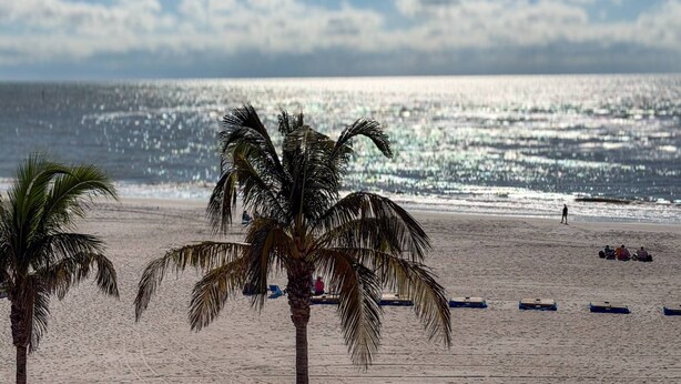 Ein Strand mit Palmen und Booten.