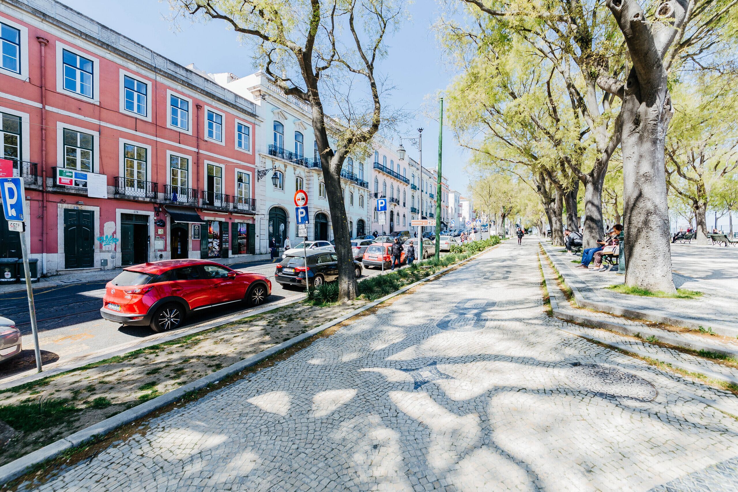 Une rue pavée bordée d’arbres et de voitures garées.
