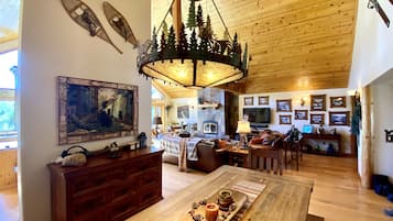 Smart TV, fireplace, books, music library