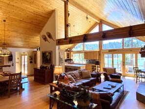 Smart TV, fireplace, books, music library