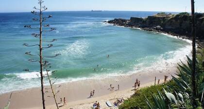 2 makuuhuoneen itsenäinen talo jaettu takapiha