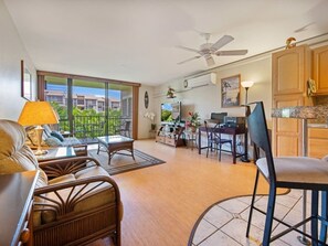 TV, DVD player, computer