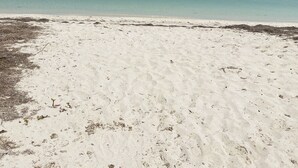 A beach with clear water and a sandy shore. - Entire House on the Seashore in Chicxulub Puerto, Yuc, Riviera Yucateca Mex (Chicxulub)
