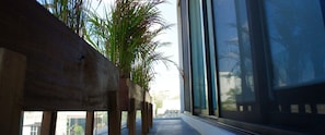 Exclusive Condo, Multiple Beds | Balcony - Areca (Playa del Carmen)