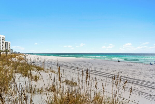A beach with sand dunes and a clear blue sky.