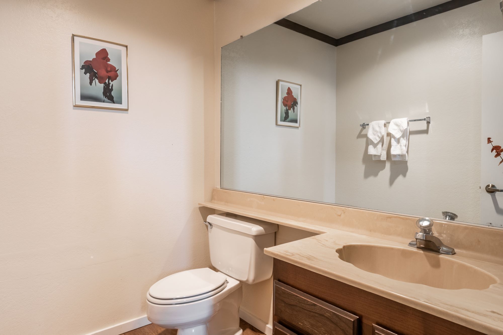 A bathroom with a toilet, sink, and mirror.