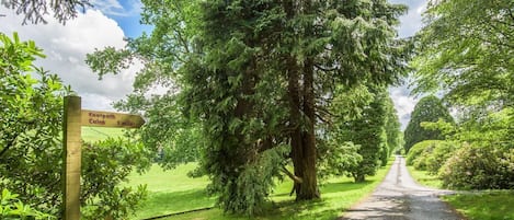 Terrain de lâhĂ©bergement