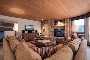 Una televisión, una chimenea, un reproductor de DVD