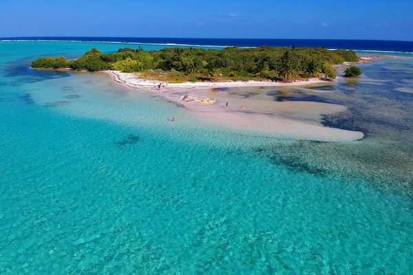 Owen Island. Visit by Kayak or small boat.