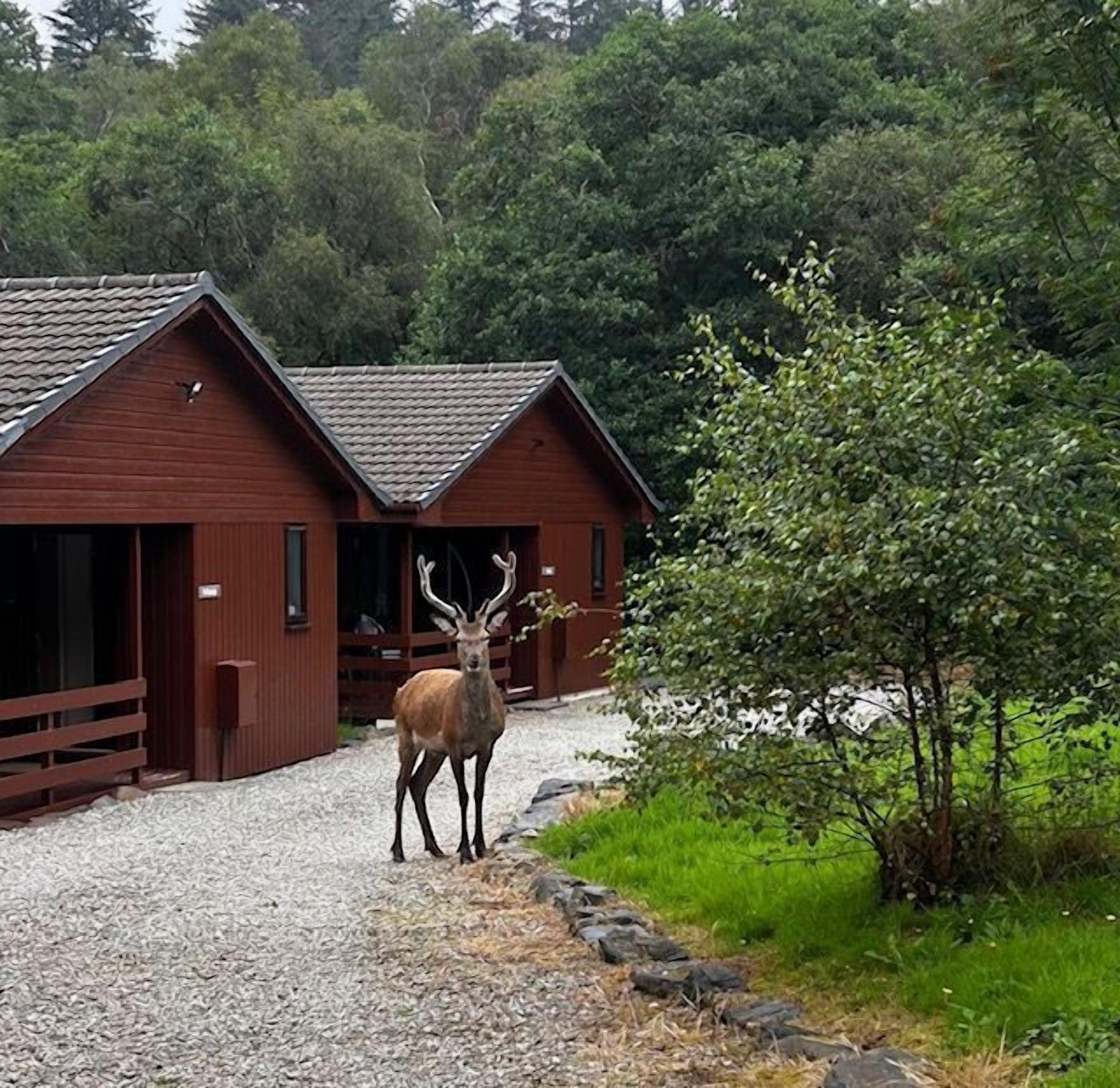 Overnattingsstedets uteområder