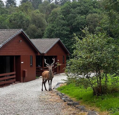 Lodge 3 - für 6 Personen in 3 Schlafzimmern