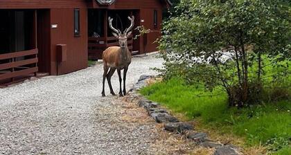 Lodge 3 - für 6 Personen in 3 Schlafzimmern