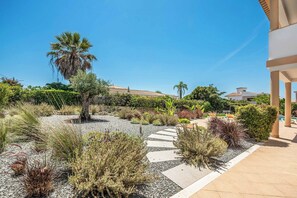 Ein angelegter Garten mit einer Palme, verschiedenen Sträuchern und einem Kiesweg.