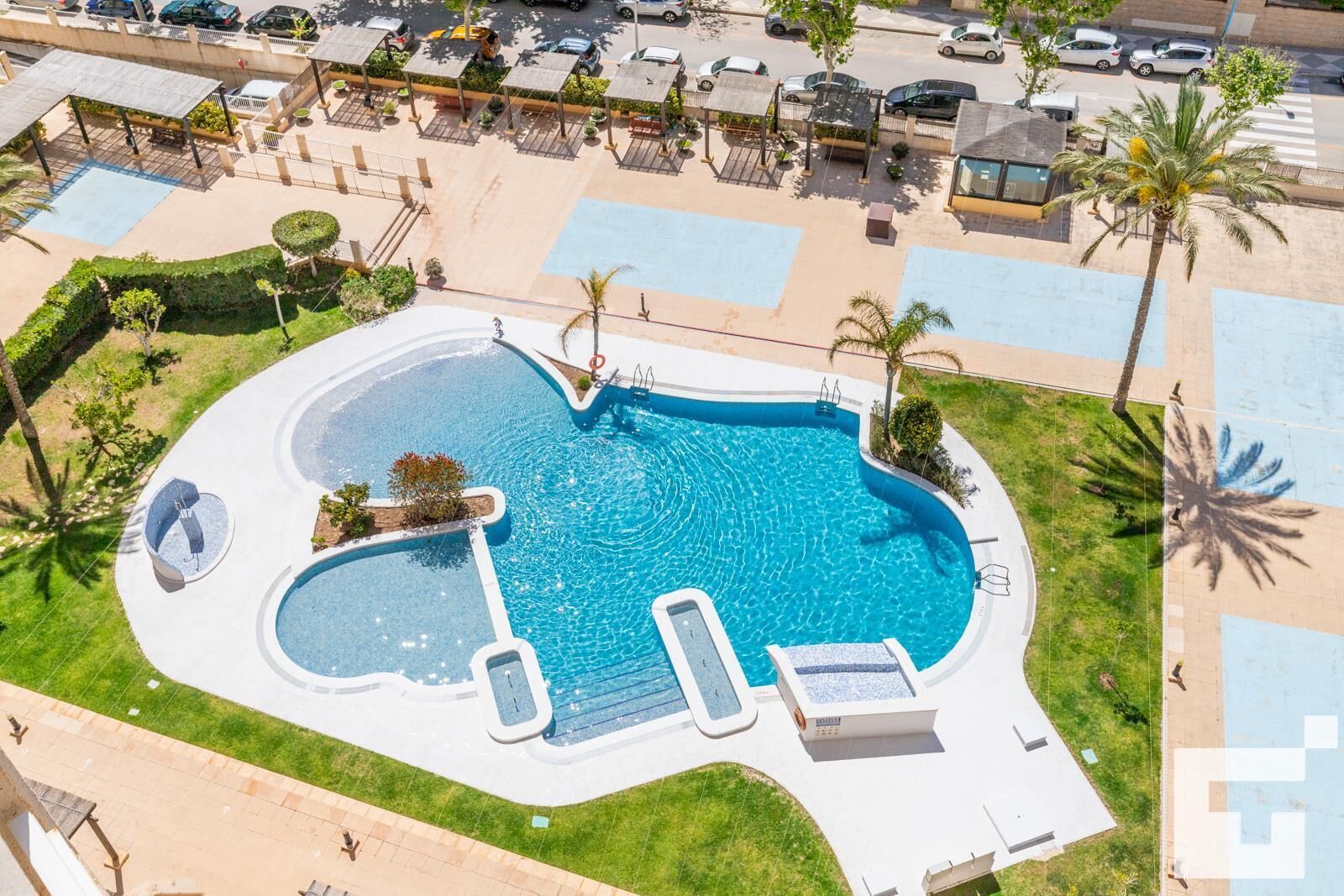 Vista aérea de una piscina con un jacuzzi integrado, sillas de descanso y palmeras.
