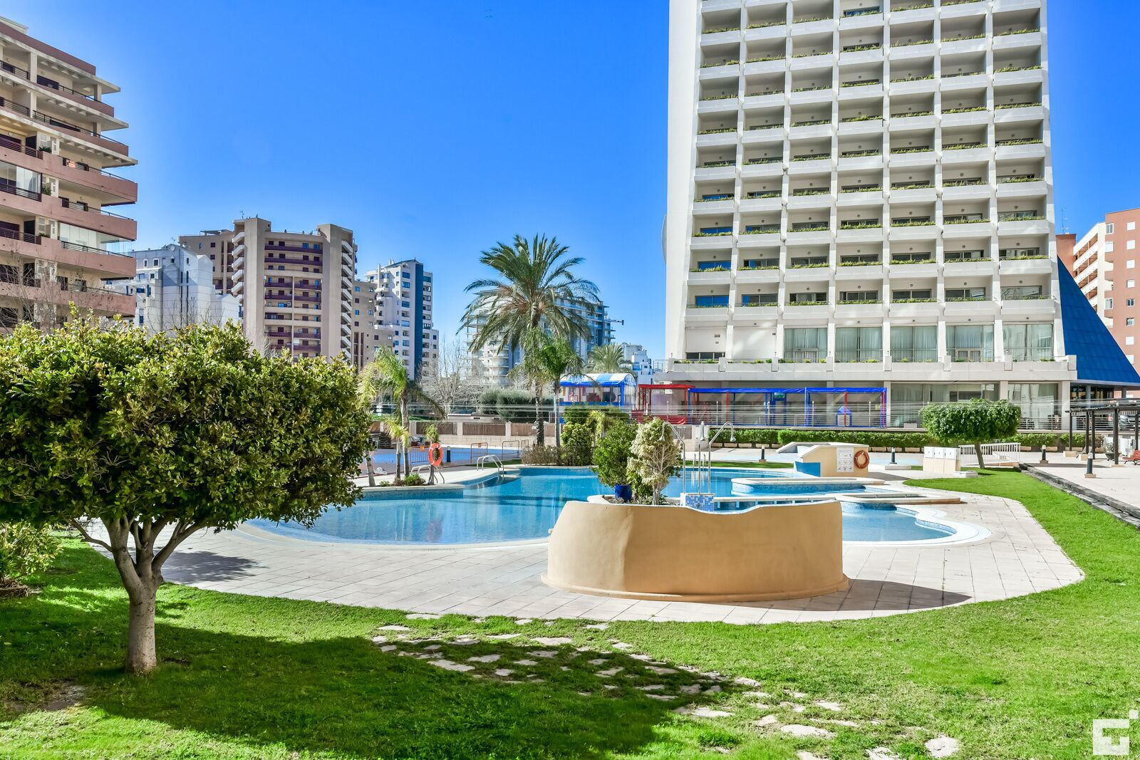 A pool area with a palm tree and a building in the background.