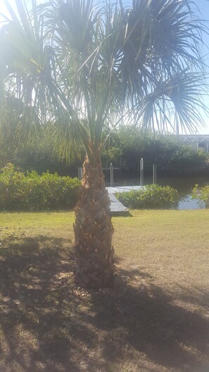 Property grounds - Waterfront Sailboat Access Canal! Pets Welcome! Nice Sunroom! Great Location! (Port Charlotte)