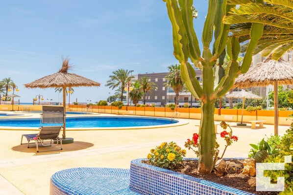 A pool area with lounge chairs, a thatched umbrella, and a cactus plant.