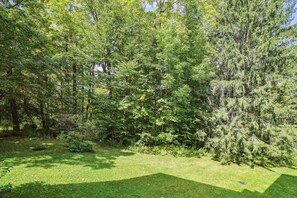 A dense forest with a variety of trees and a grassy area.