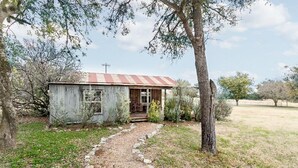 A rustic cabin with a metal roof, a wooden door, and a stone pathway leading to it.