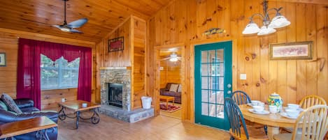 TV, fireplace, video games, video library