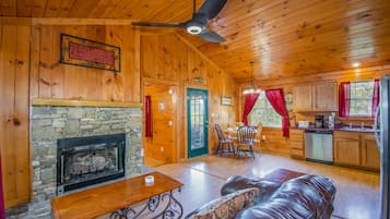 Een televisie, een open haard, videogames en een filmbibliotheek